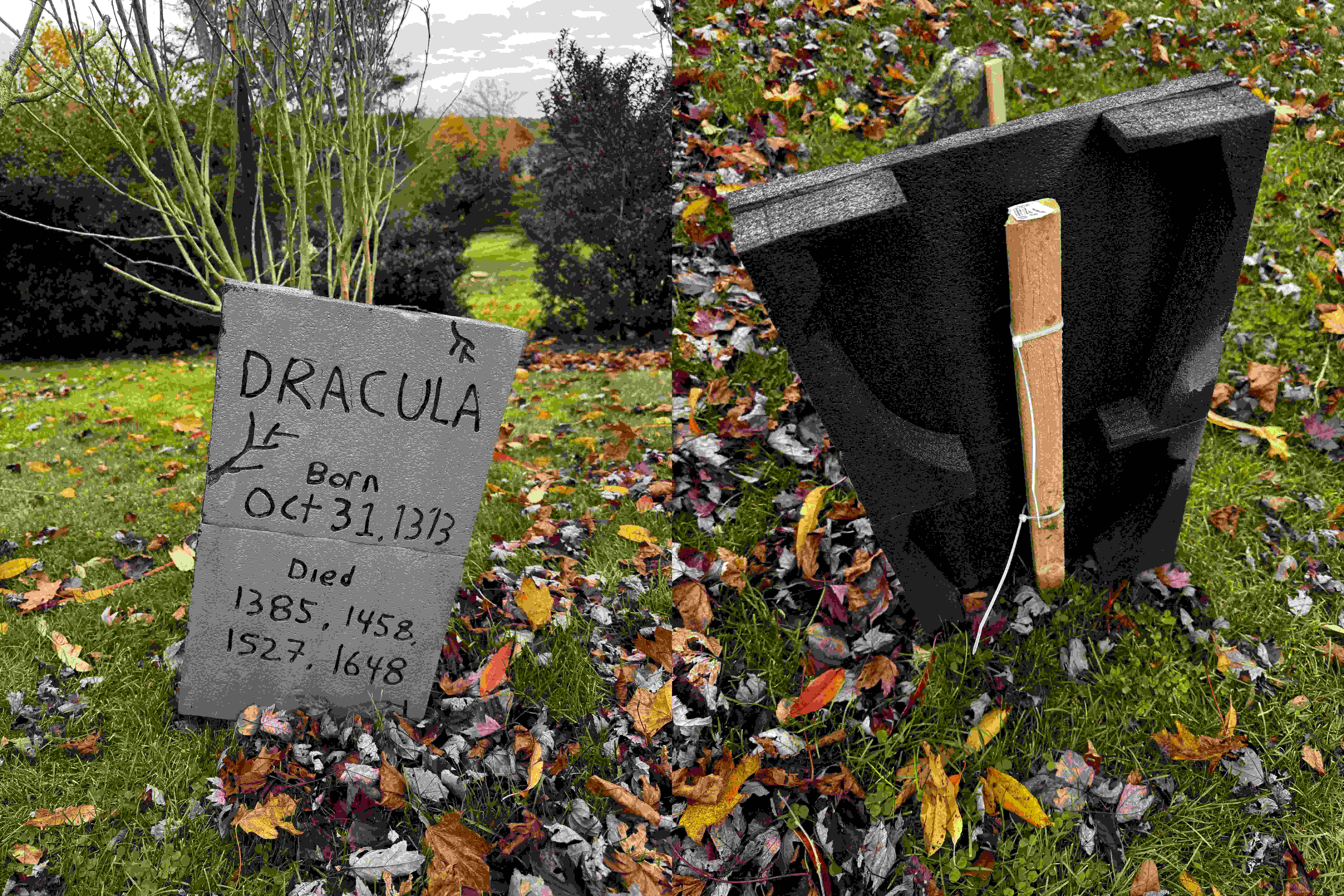 front and back of stone2