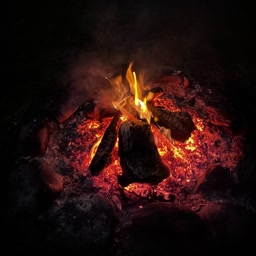🏕️🔥