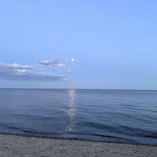 🌚🏝️